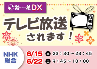 鈴花DX-テレビ放送
